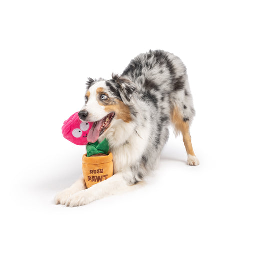 Seek 'n Treat Rosie Pawt Dog Toy