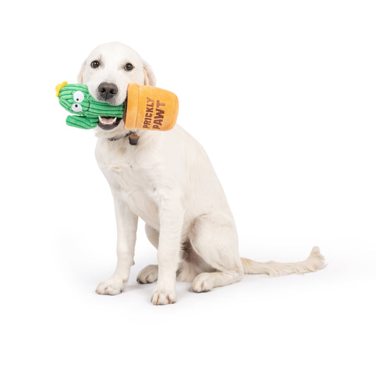 Seek 'n Treat Prickly Pawt Dog Toy