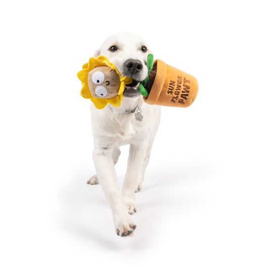 Seek 'n Treat Sunflower Pawt Dog Toy