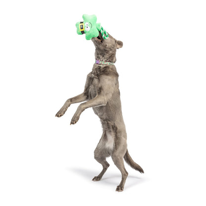 Shamrock Lollipop Dog Toy
